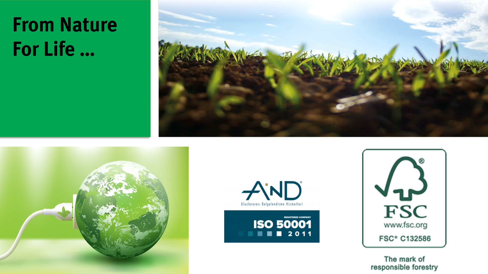 Hijazi Wood تعزز وجودها خارج لبنان... تعزيز مفهوم أناقة الأخشاب والتصاميم